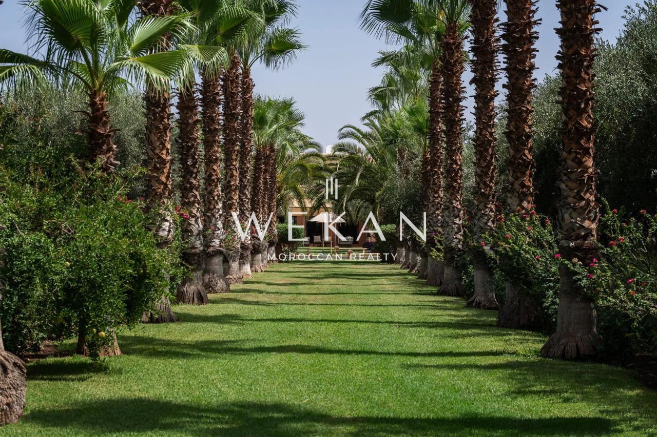 Read more about the article Villa CL